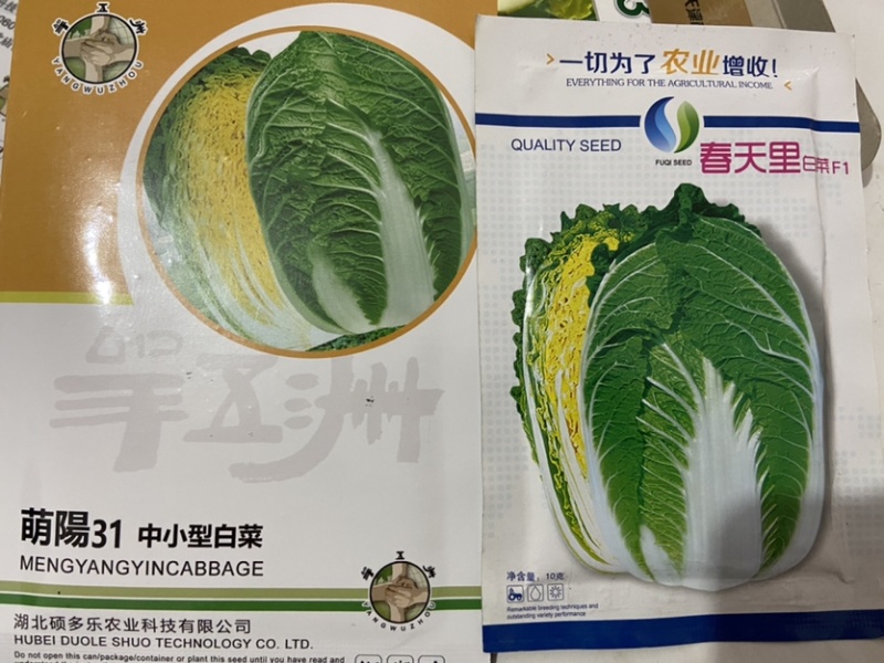 辣椒种子特价出售，一袋10元1000粒装