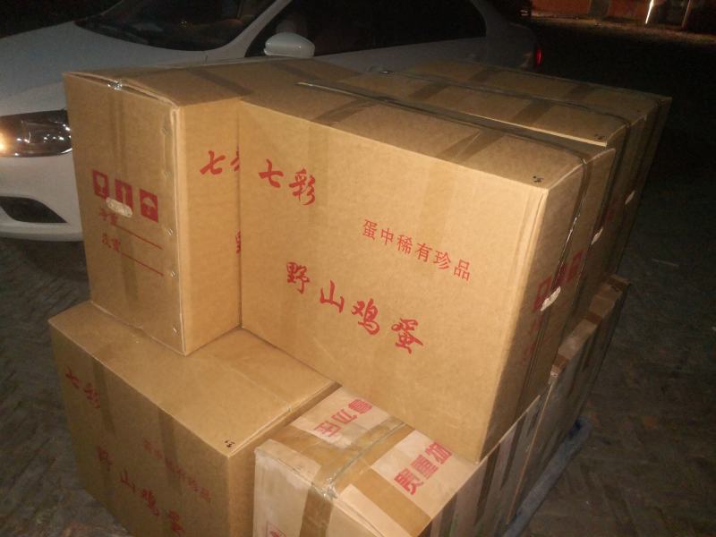 营养绿色食品