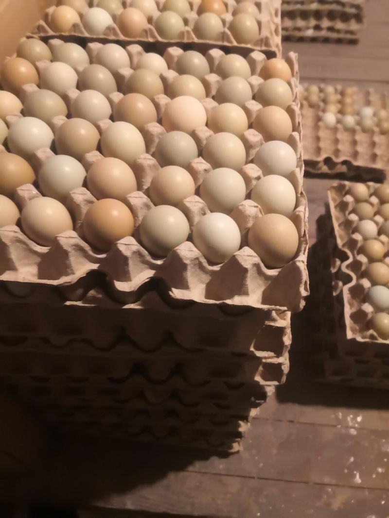 营养绿色食品