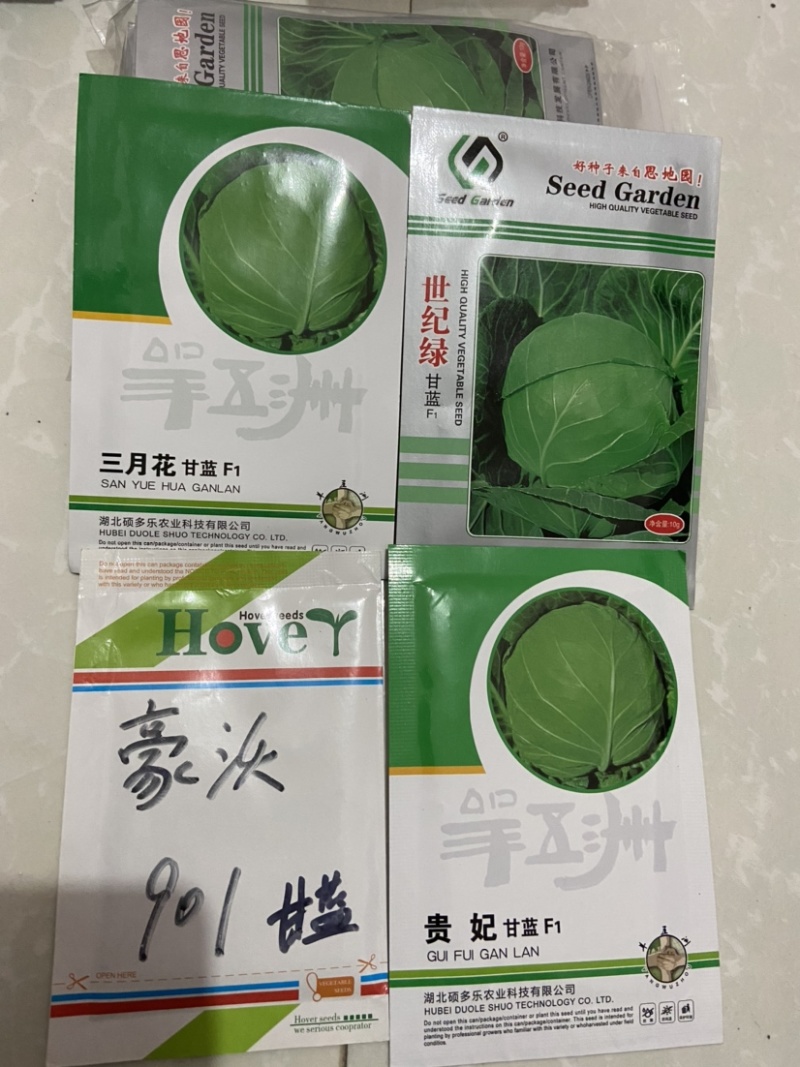 耐热松花菜种子青玉等品种