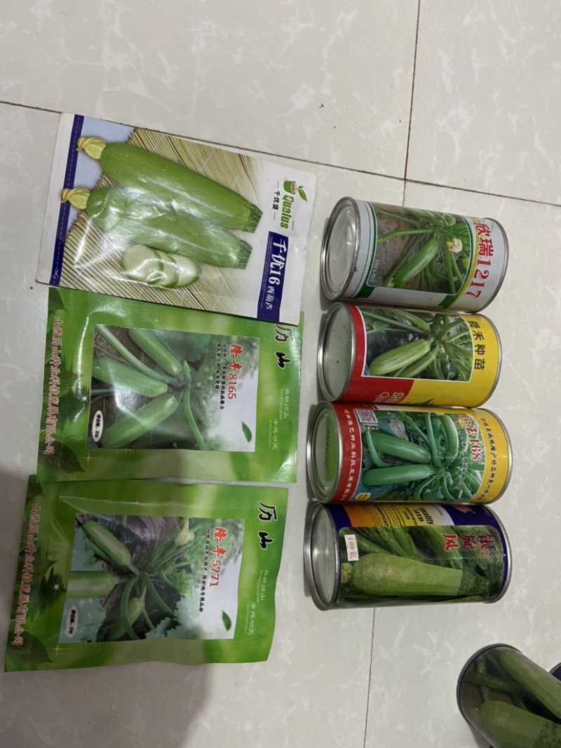 耐热松花菜种子青玉等品种