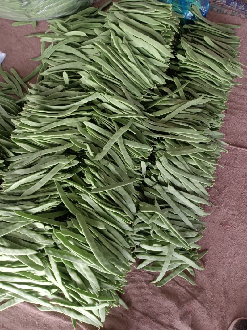 山东扁豆绿扁豆产地直供量大从优全国发货欢迎联系