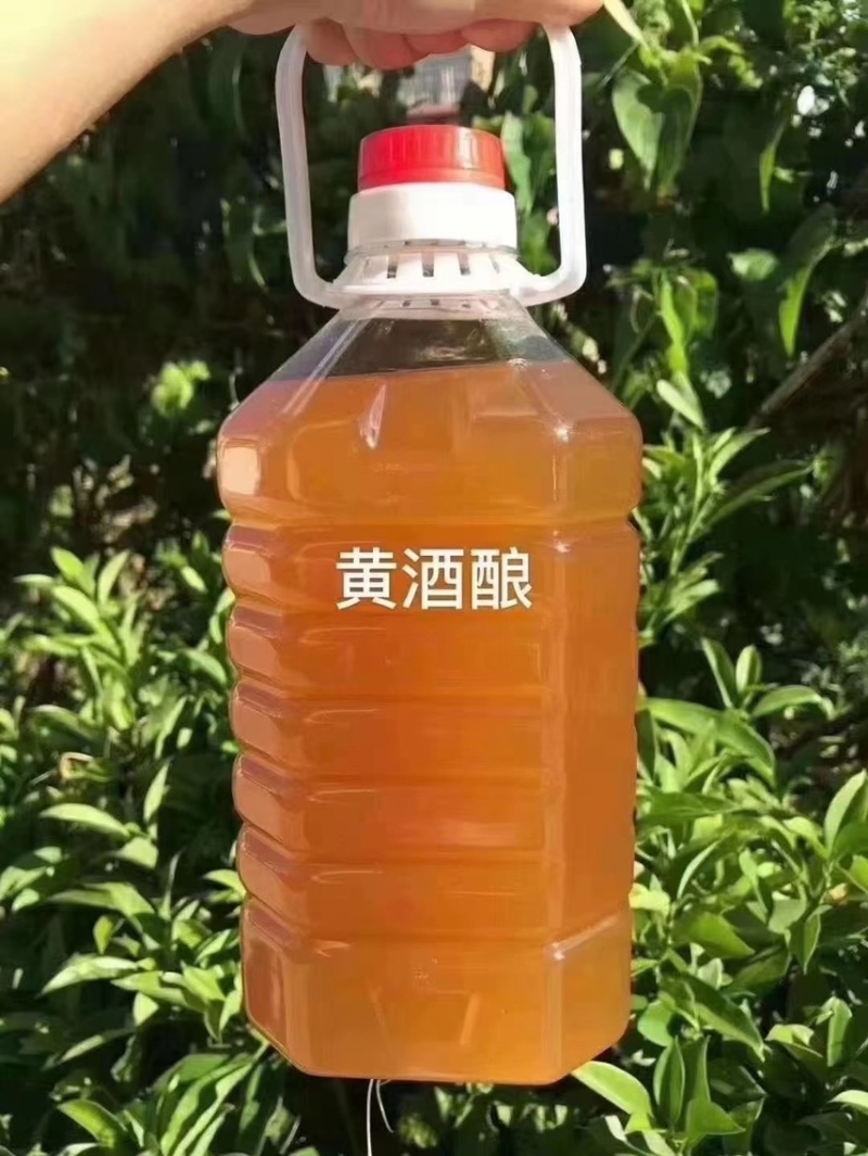 【厂家直销】客家火灸黄酒酿黑糯米酒月子酒甜酒批发