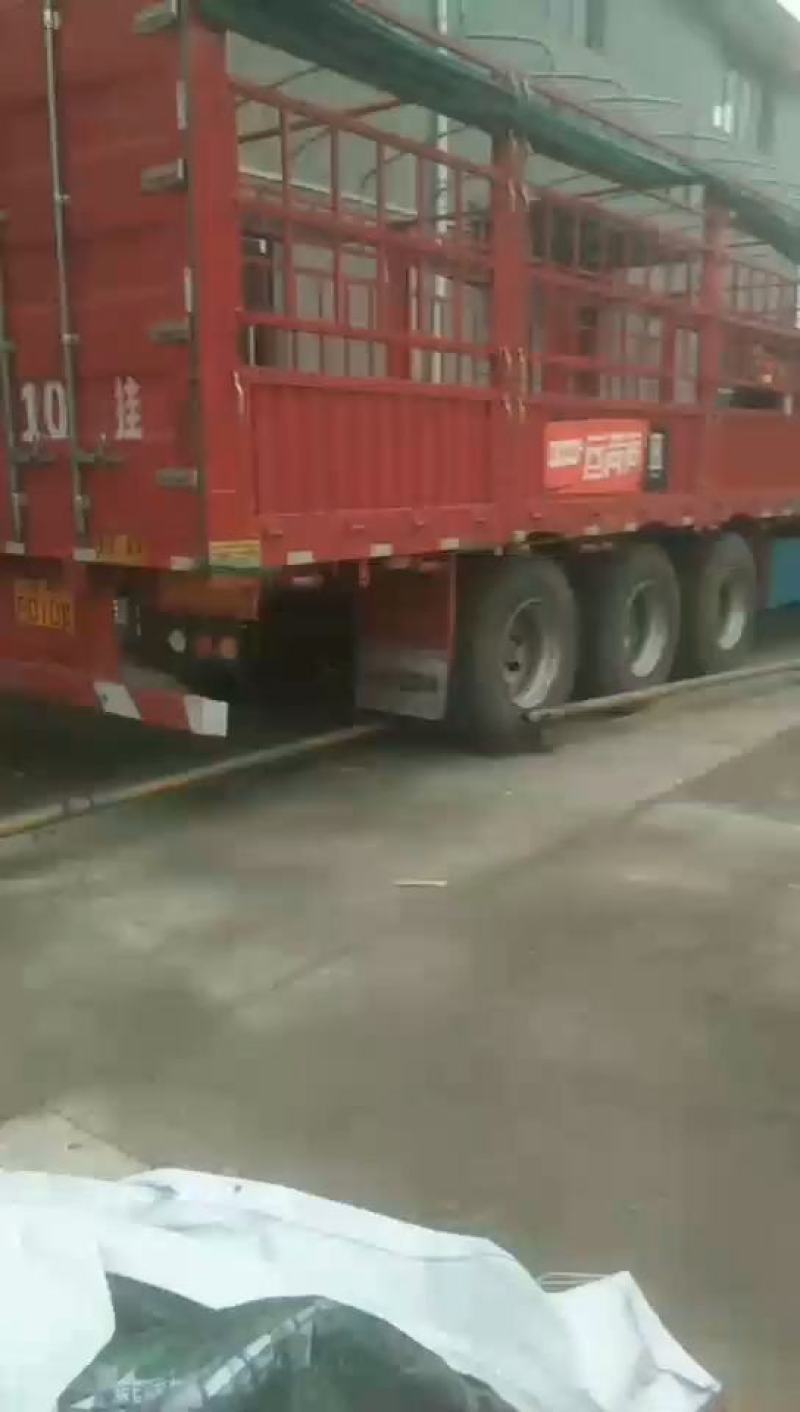 椪柑品质好价格便宜口感好，