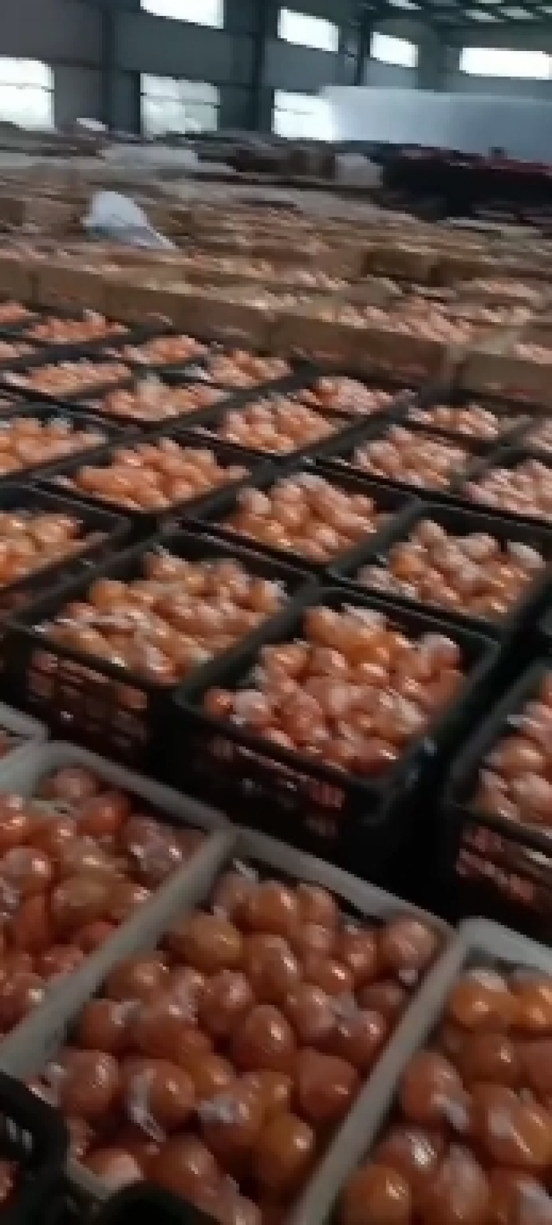 椪柑品质好价格便宜口感好，