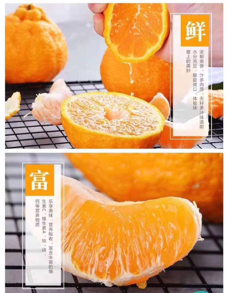 四川春见耙耙柑，产地一手货源，规格多样，价格可谈，欢迎来电