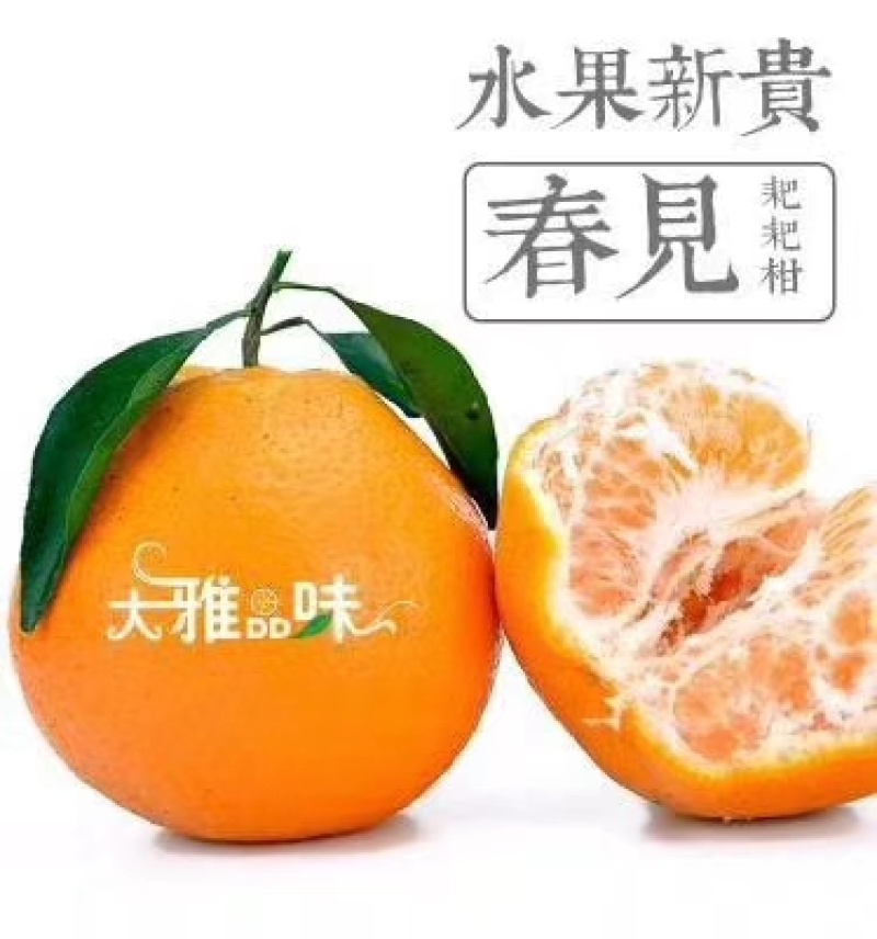 四川春见耙耙柑，产地一手货源，规格多样，价格可谈，欢迎来电