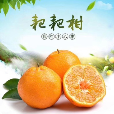 四川春见耙耙柑，产地一手货源，规格多样，价格可谈，欢迎来电