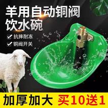 羊水碗羊用自动饮水器加厚铜阀门羊饮水碗养羊饮水槽塑料养殖