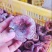 【平乐柿饼】现货批发爆口大肉饼、次饼、产地发货