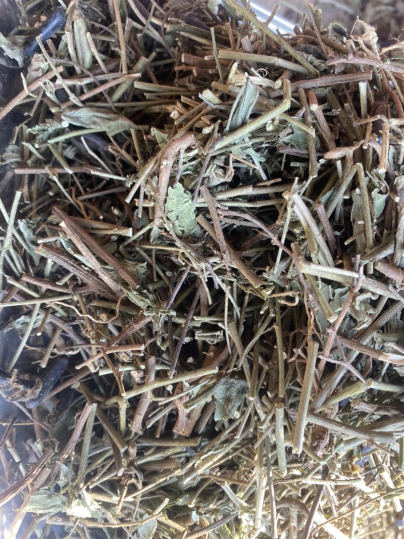 云南野生响铃草狗响铃野花生产地现货供应