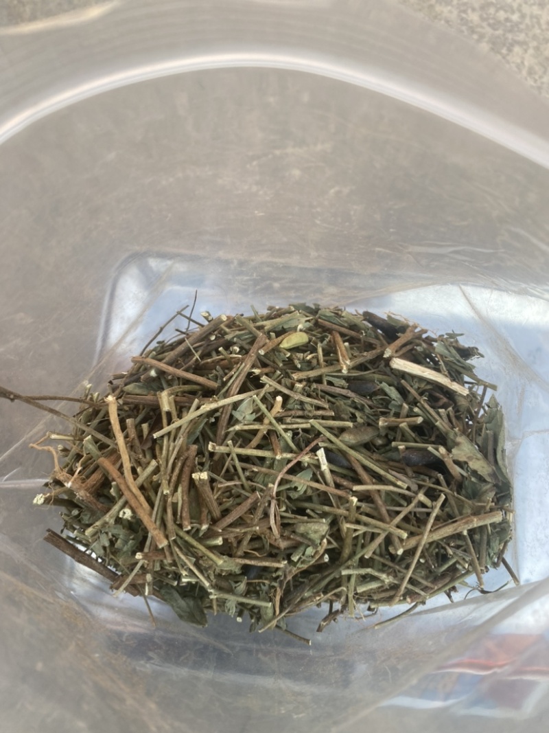云南野生响铃草狗响铃野花生产地现货供应