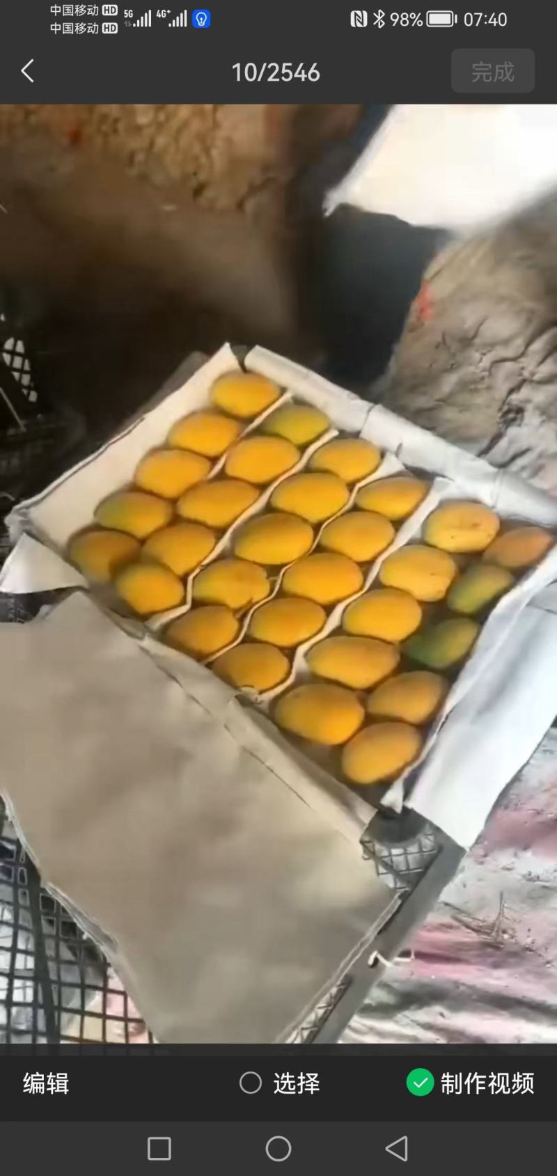 大量供货小台芒贵妃芒
