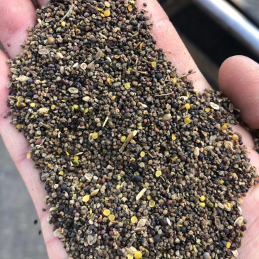 优选赞皇县菜籽下脚料大量现货厂家直发价格可谈