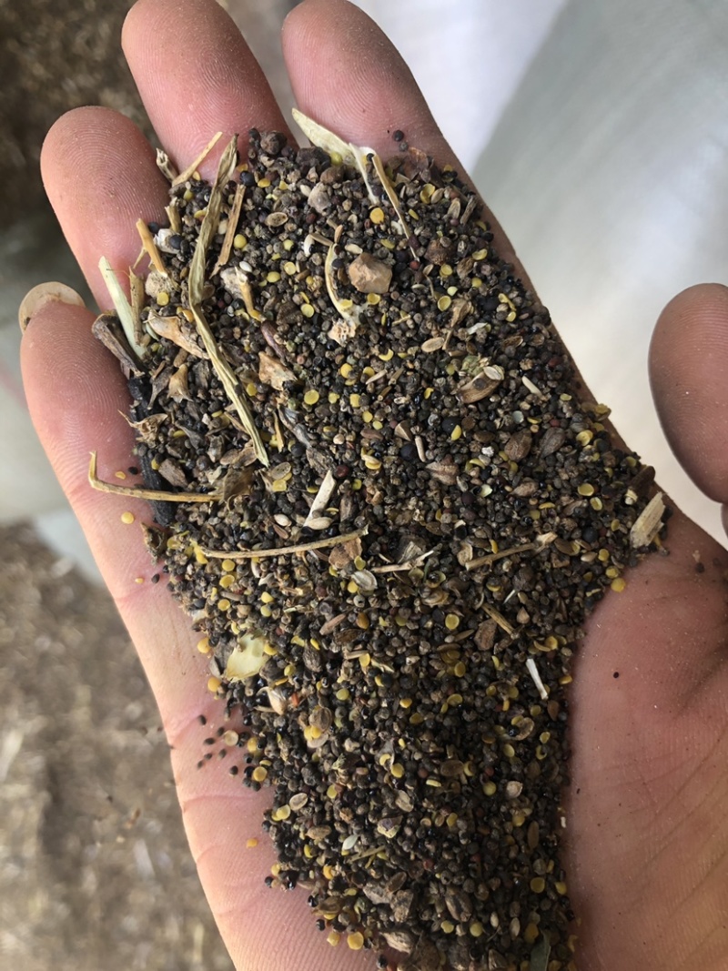 优选赞皇县菜籽下脚料大量现货厂家直发价格可谈