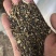 优选赞皇县菜籽下脚料大量现货厂家直发价格可谈