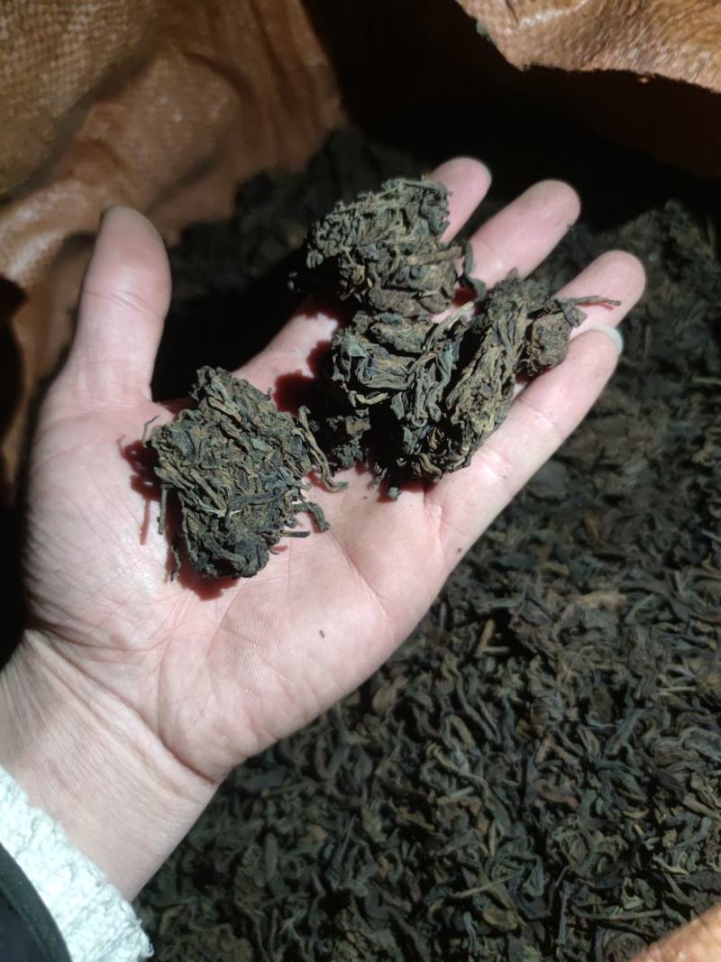 六堡茶