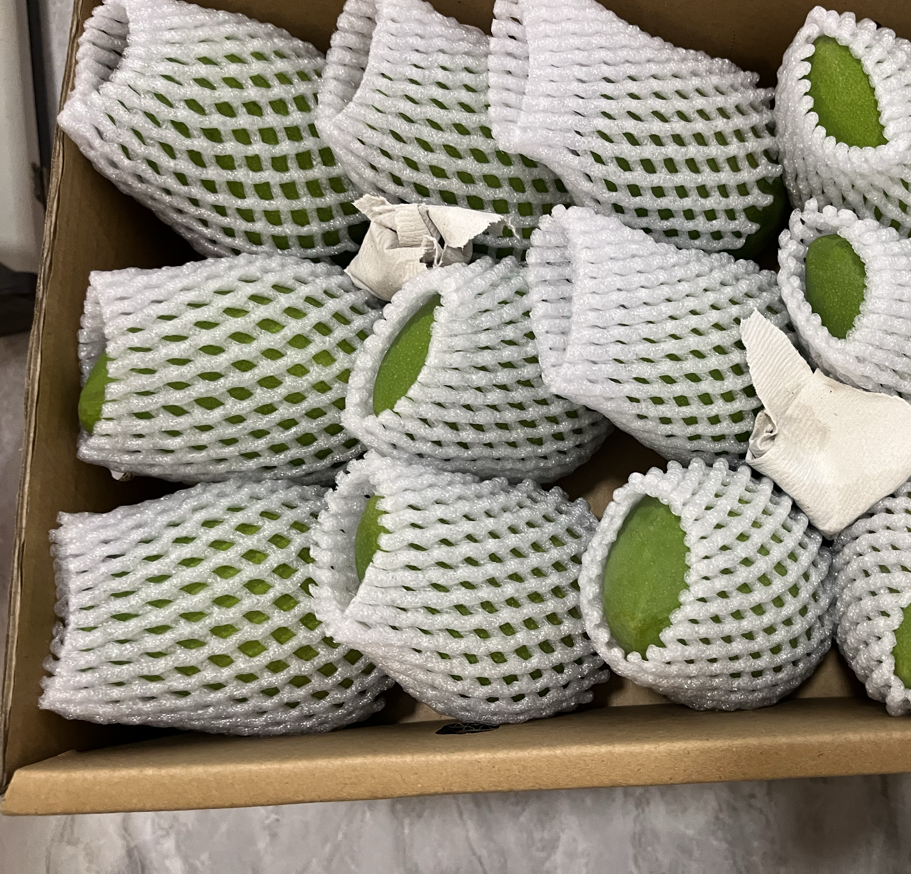 展示工人正在对小台芒果实进行手工采摘,并使用泡沫网套进行包装 小台芒果实采收与包装现场