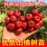 大金星山楂苗嫁接优质苗个头大南北方种植包成活包结果