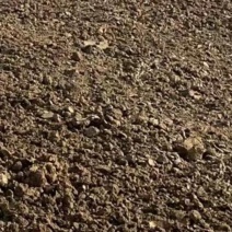 岀售大量整改好标准农田6000亩，有水电。