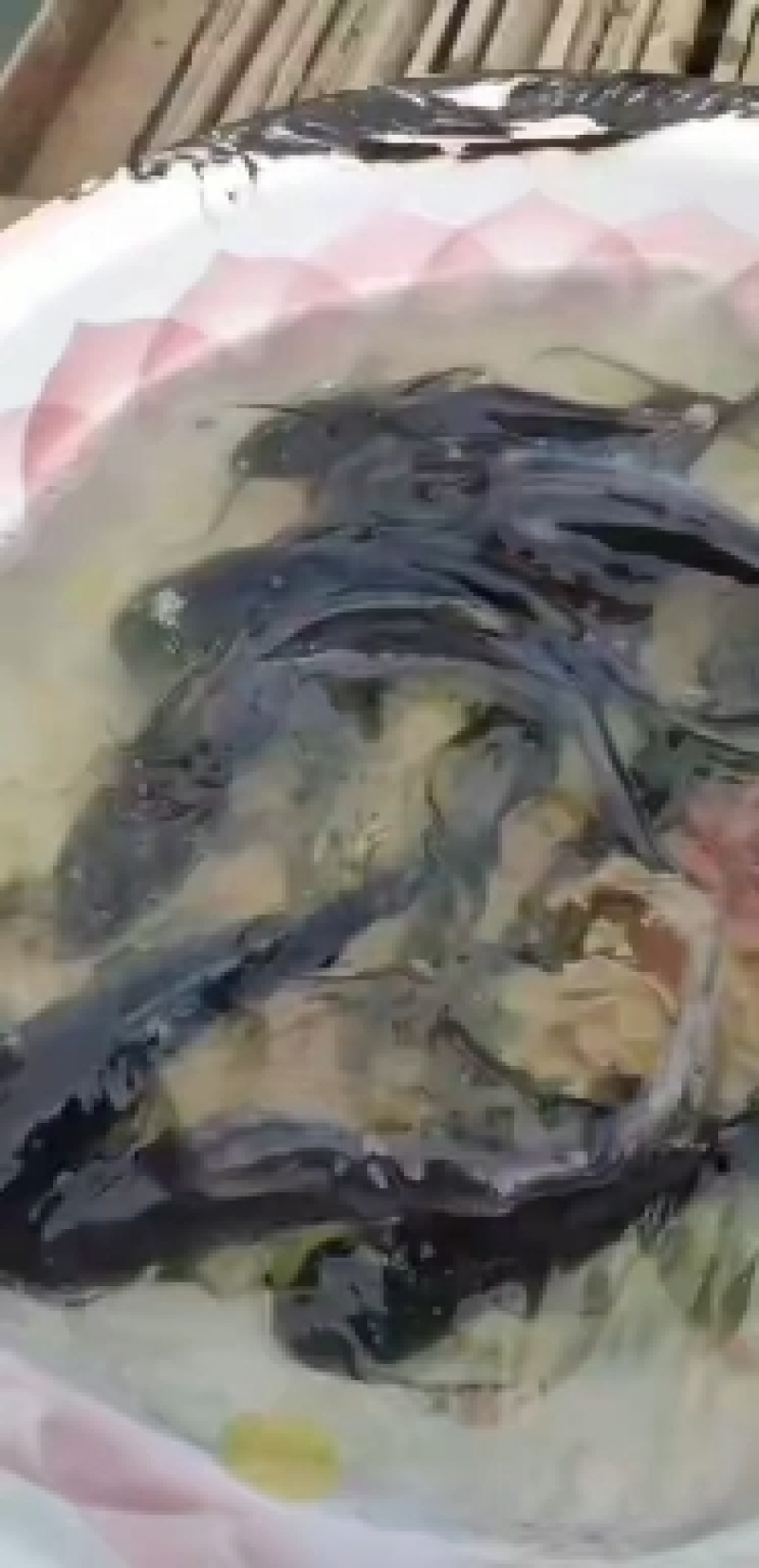 鱼