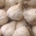 优质白皮蒜:质量好,量大有现货,耐储存,市场好(库存干蒜