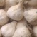 优质白皮蒜:质量好,量大有现货,耐储存,市场好(库存干蒜