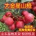 大金星山楂苗嫁接优质苗个头大南北方种植包成活包结果