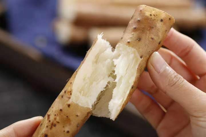 炒菜用的山药是什么山药 - 菜山药实物图
