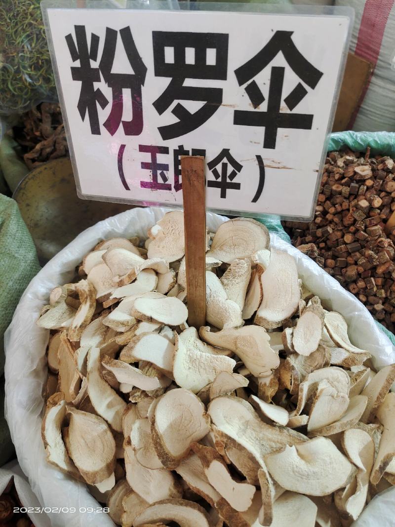 中药材粉罗伞，大罗伞，玉郎伞新货保证质量