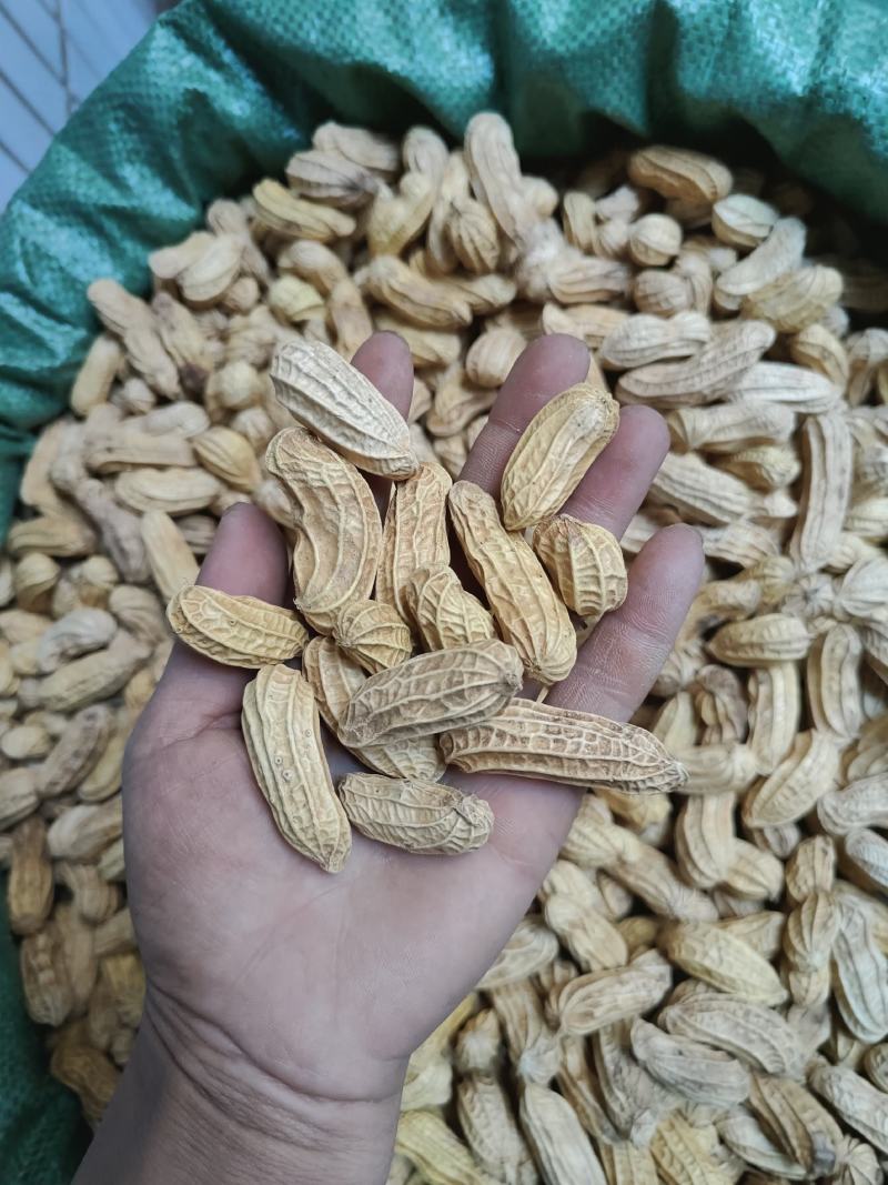 七彩花生带壳