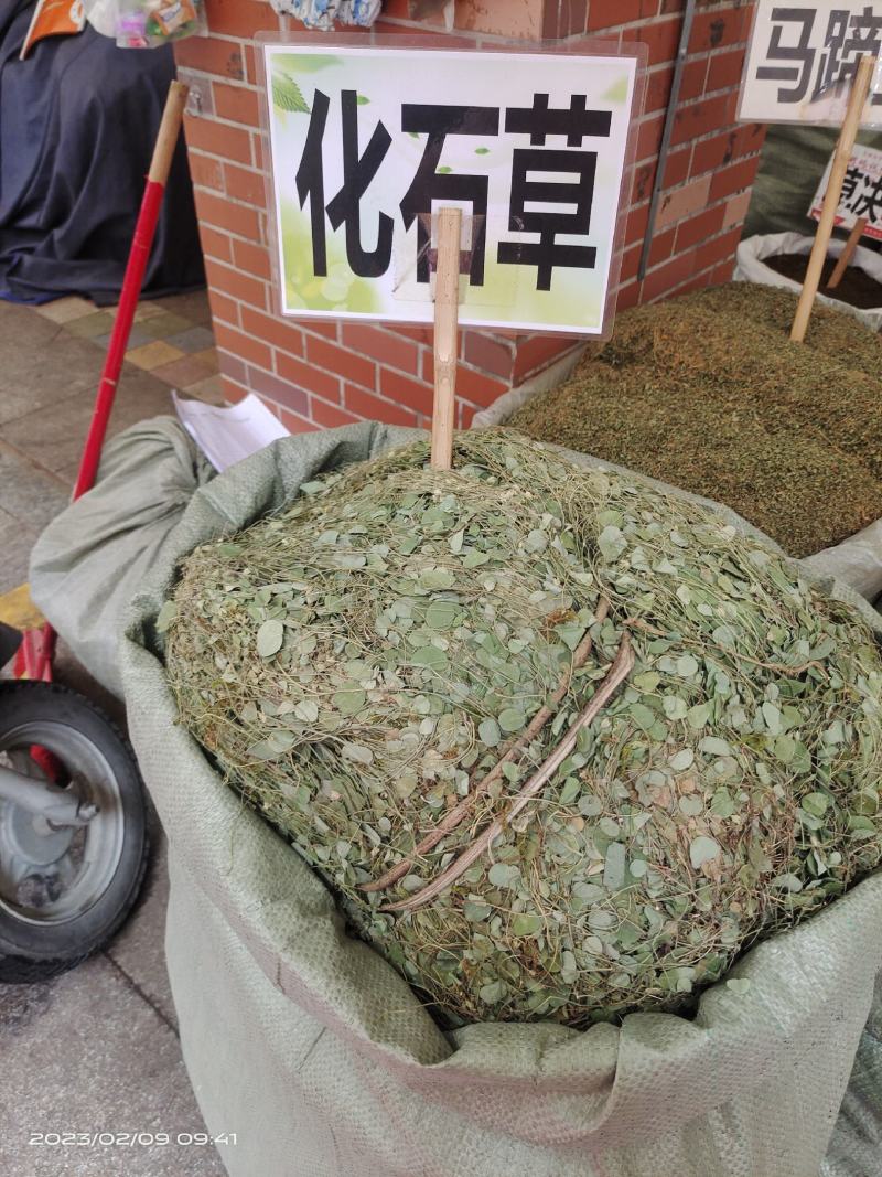 中药材化石草小叶金钱草新货保证质量