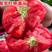 普罗旺斯西红柿苗普罗旺斯番茄苗西红柿苗嫁接苗免费技术指导