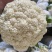 精品松花菜菜花白面青梗有机花菜原产地发货货源充足