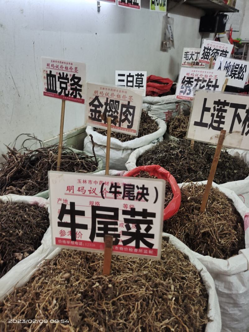 中药材上莲下柳新货保证质量