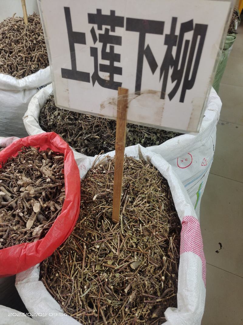 中药材上莲下柳新货保证质量