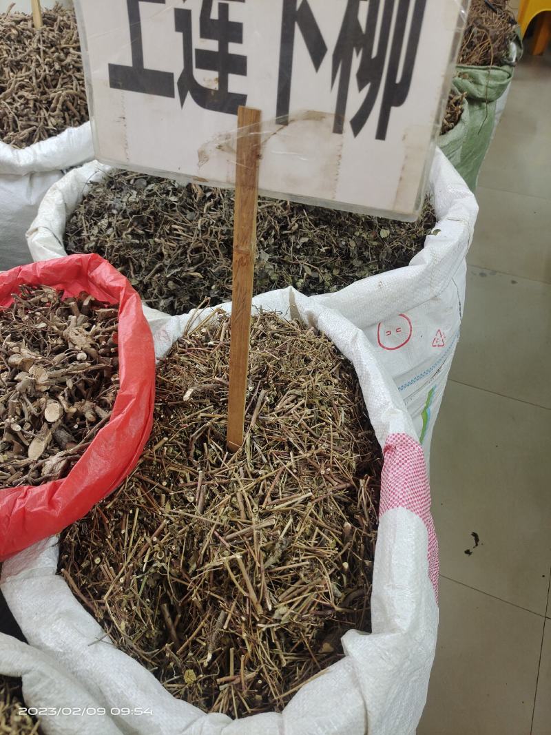 中药材上莲下柳新货保证质量