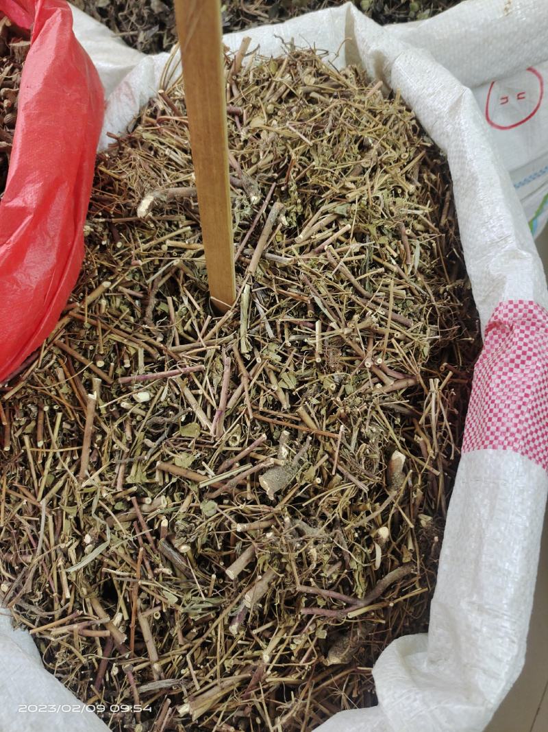 中药材上莲下柳新货保证质量