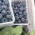 蓝莓，青岛蓝莓，暖棚L25，云雀，L，F6奥尼尔，绿宝石