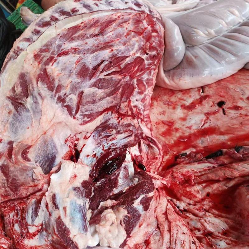 鲜驴肉，现宰现卖，物美价廉，全国各地都可以发货