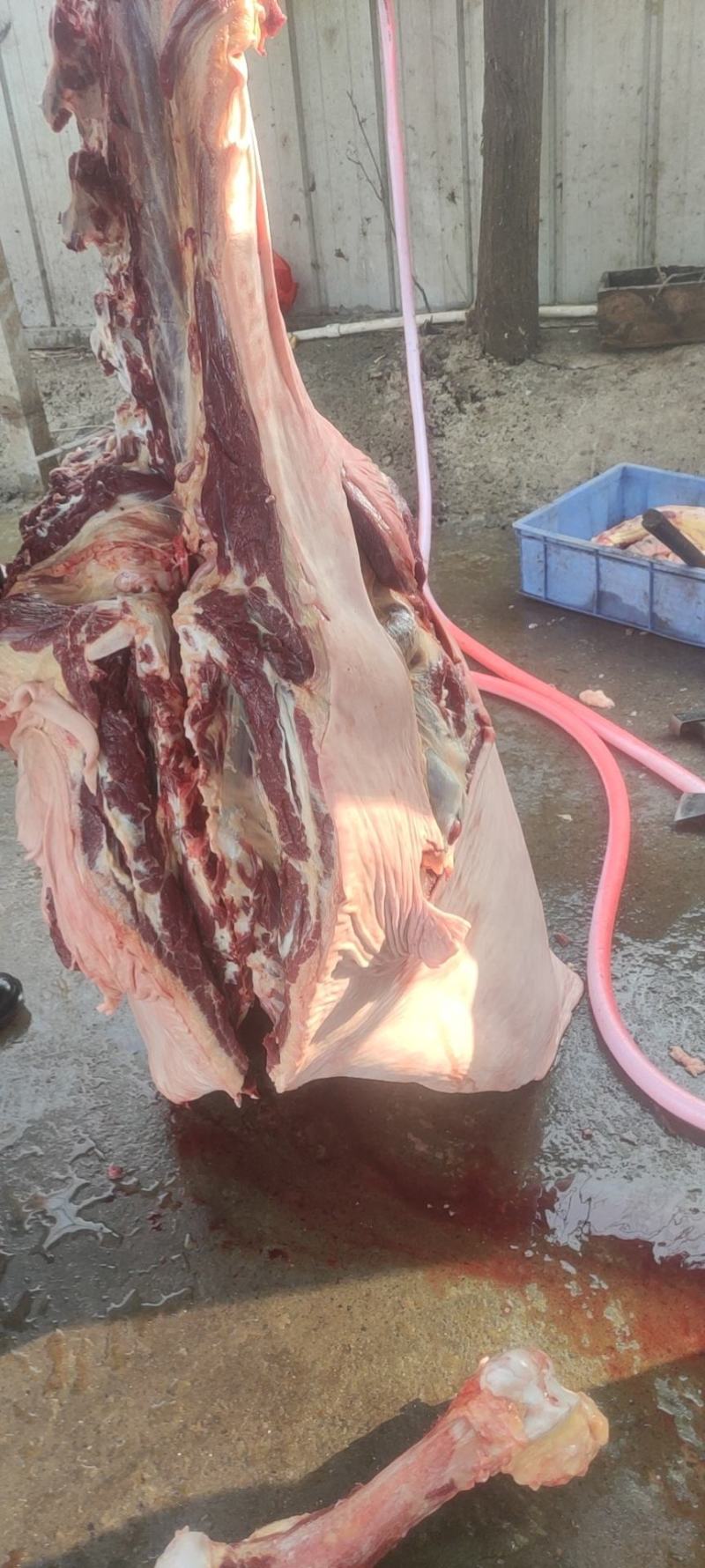 鲜驴肉，现宰现卖，物美价廉，全国各地都可以发货