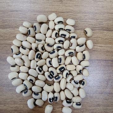 海华农产品黑嘴白豇豆