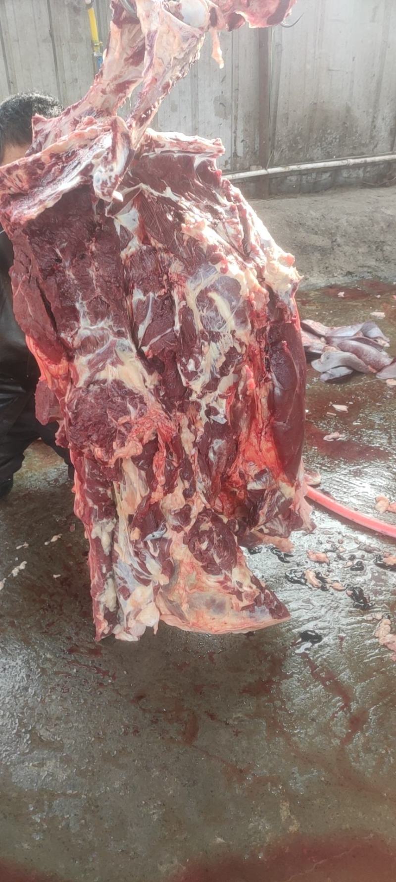 鲜驴肉，现宰现卖，物美价廉，全国各地都可以发货