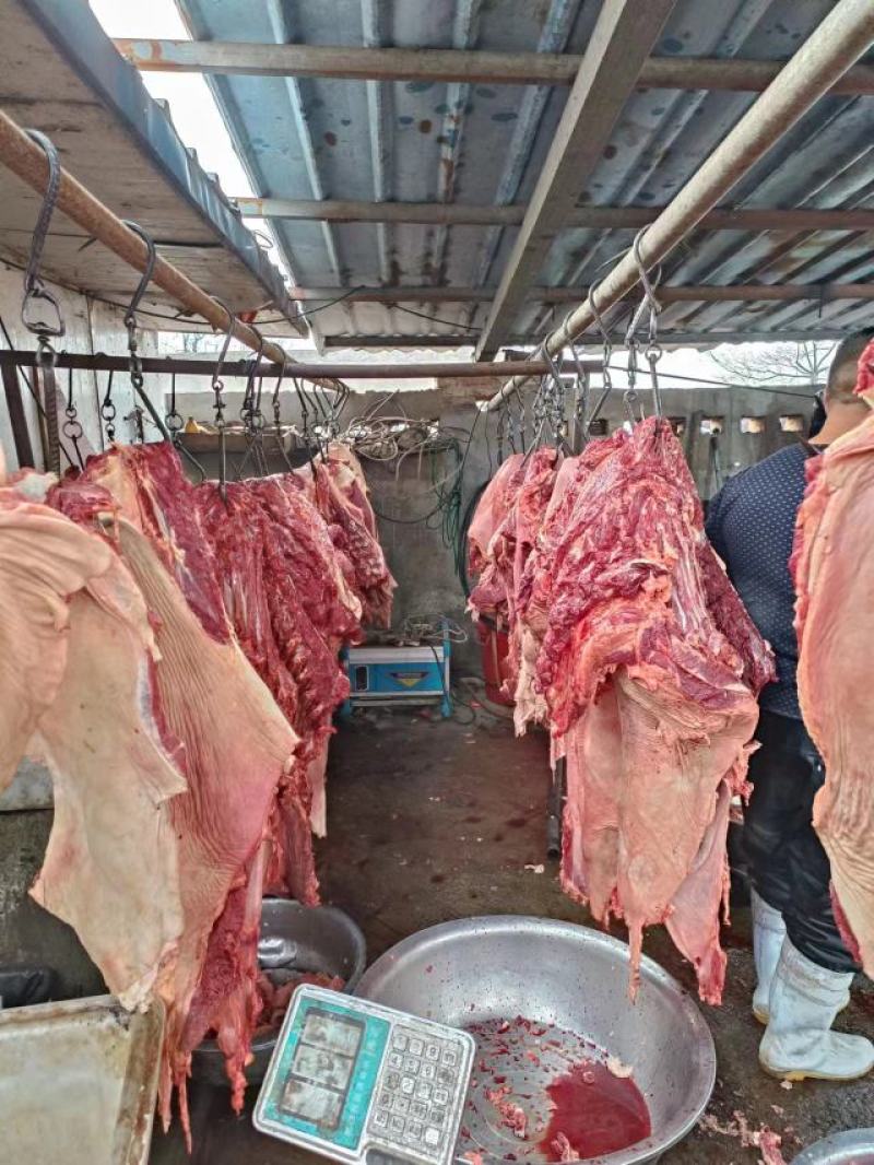 鲜驴肉，现宰现卖，物美价廉，全国各地都可以发货
