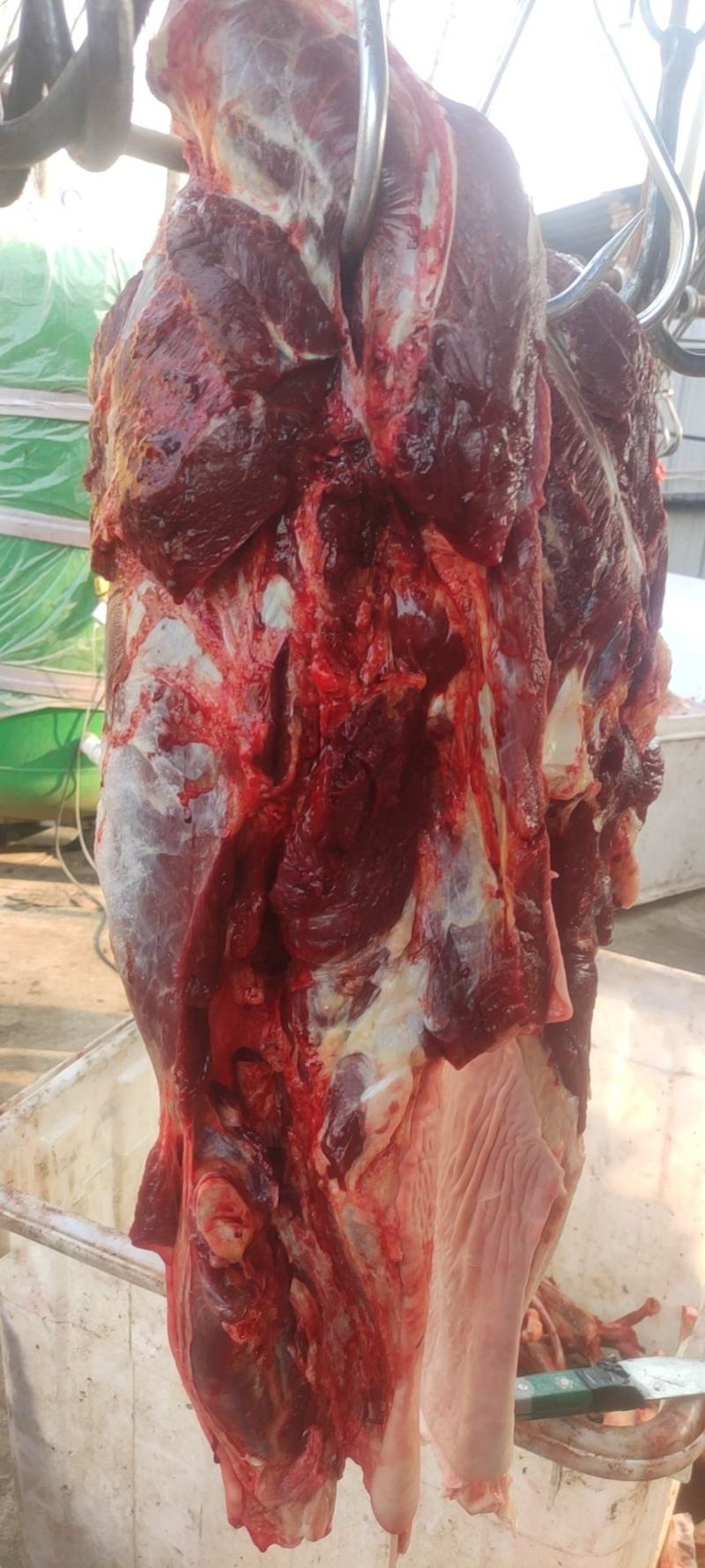 鲜驴肉，现宰现卖，物美价廉，全国各地都可以发货