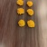 食用菌