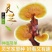 灵芝菌包家庭种植灵芝灵芝菌包基地回收成品
