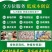 灵芝菌包家庭种植灵芝灵芝菌包基地回收成品