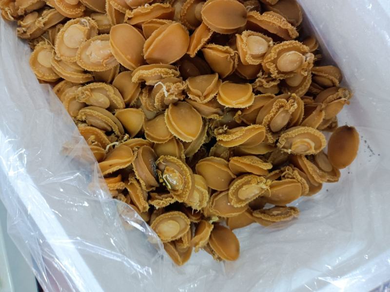黄金鲍鱼肉