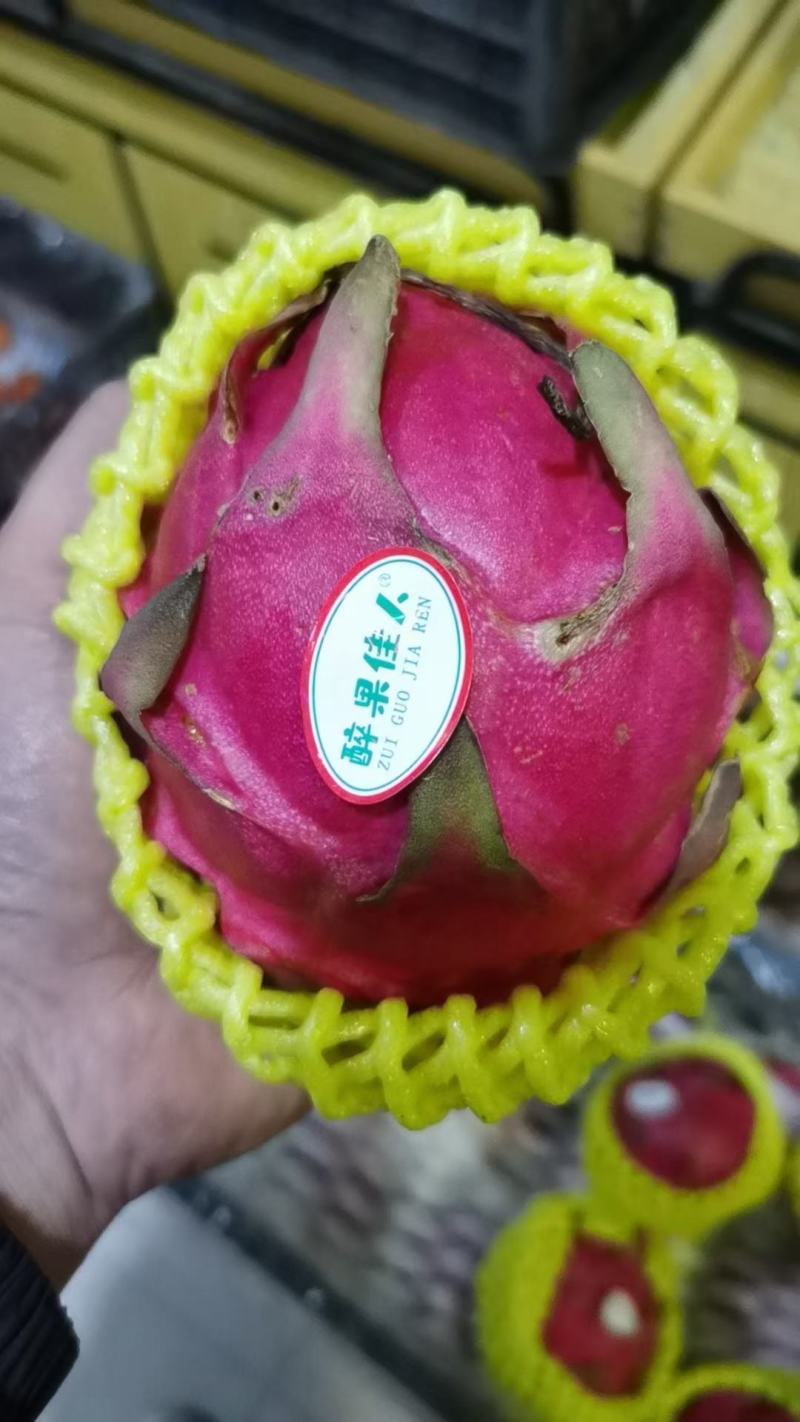 火龙果